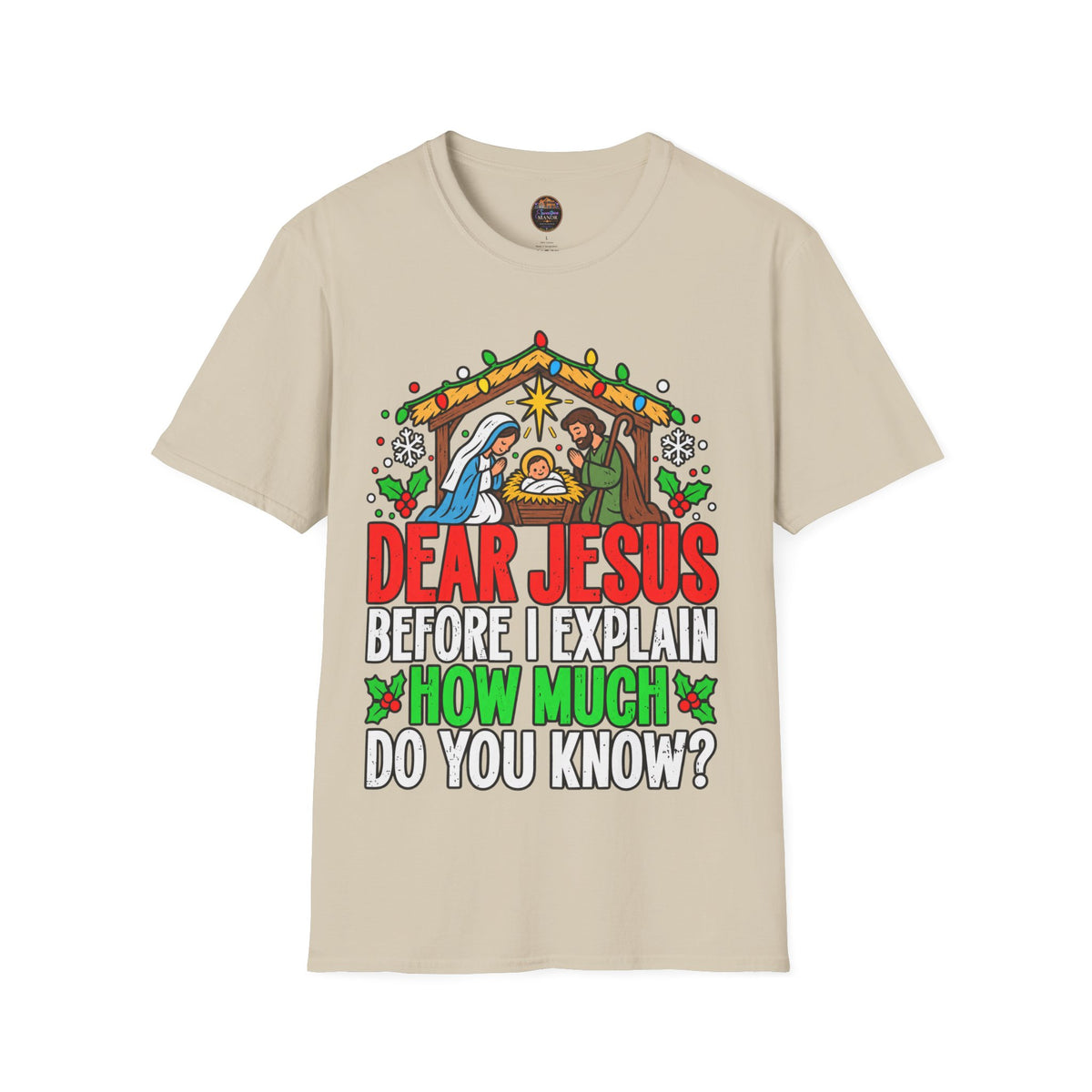 Dear Jesus Nativity Illustration T-Shirt | Humorous Religious Christmas Tee