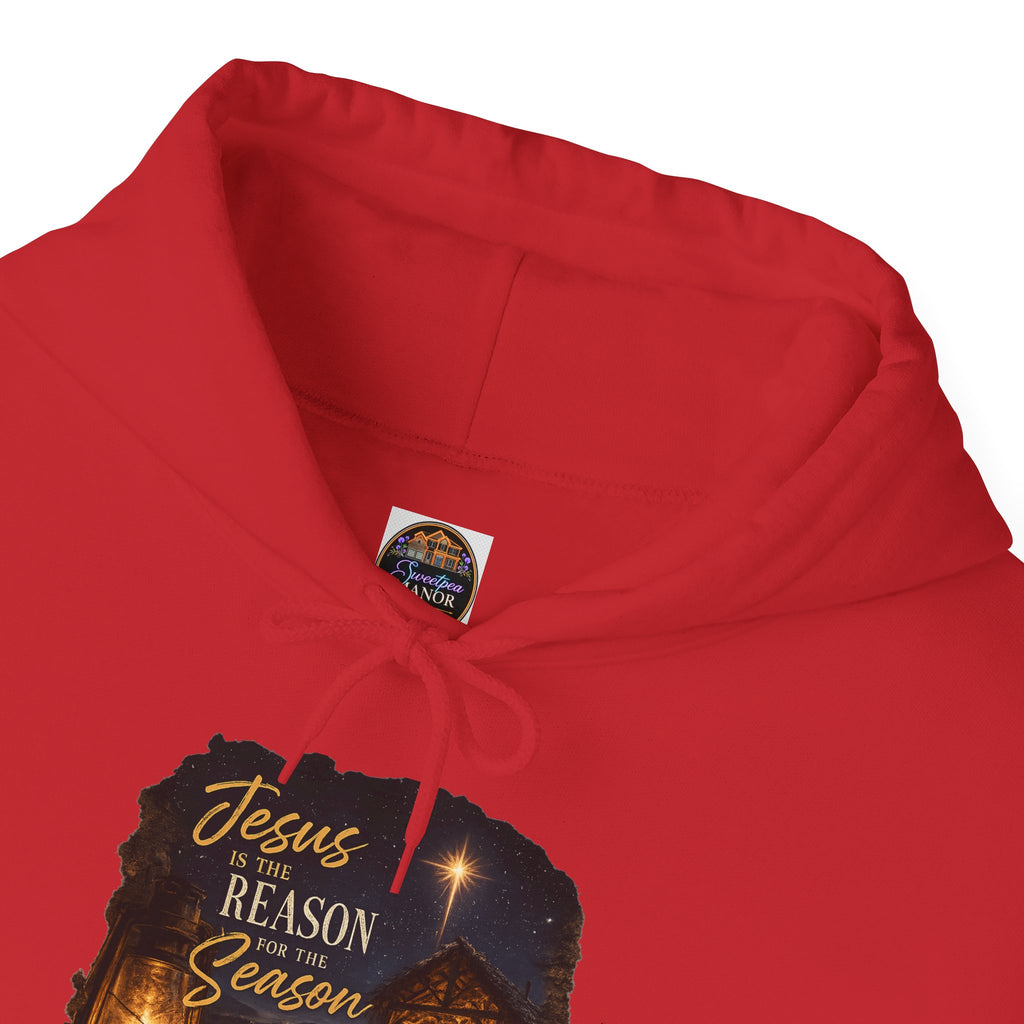 Jesus Reason Season hoodie | Nativity lantern scripture religious sweatshirt